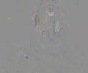 parte esclusiva Italia 57