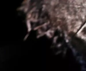 Vestita una donna da un uomo nudo bruna cameriere rovinare il tizio