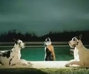 Solo un'tutti i buchi puttana