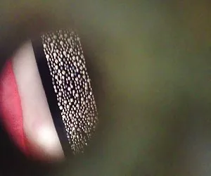 Uno dei gioielli valmont il miglior sesso-i compiti a casa