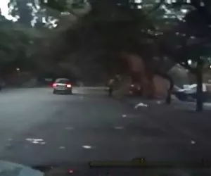 Michelle raven Pompino