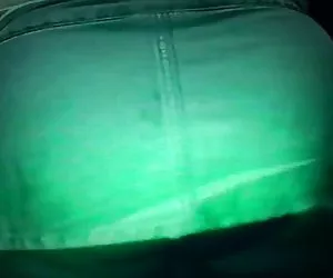 l'ultimo tabù - famiglia divertimento classico