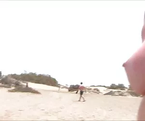 tori neri con grande gallo nero