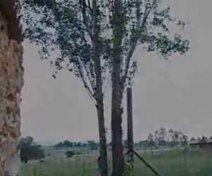 Kapri stili alimentari suo stronzo