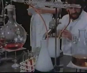 dai seni grandi gallo enorme di asiatiche pompino