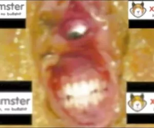 BG tette bionda jessi summers scopata duro e cum