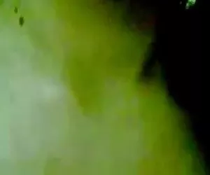 Cornea brune bramano cazzi duri di salto