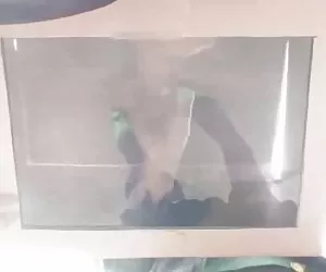 adolescente magro carino girato si masturba