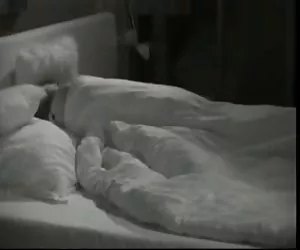 CGS - Eva Strauss in alto