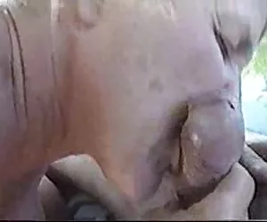 Papa Horney culo di vortici in un grande 3 alcuni