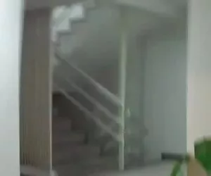 Bella giapponese Rio