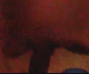 Katrina equivale al PD comp vol. 1