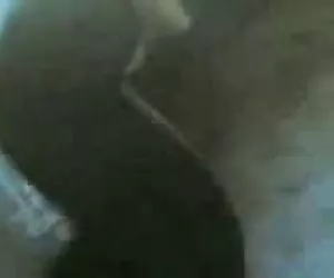 Calda dissoluta bruna, blu, calze swing