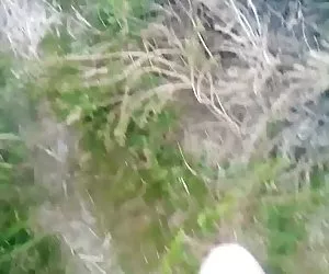 Taylor wane hardcore