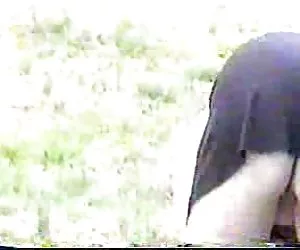 premio pompino vincente