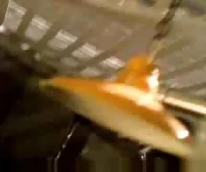 tedesca matura scopata