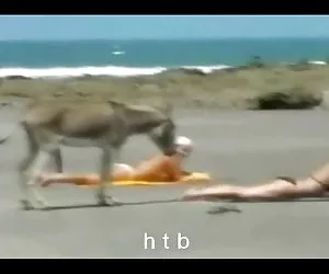 succhiacazzi (reale)