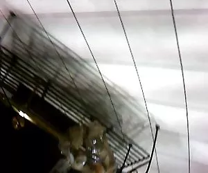 naturgeil und gierig nach sperma