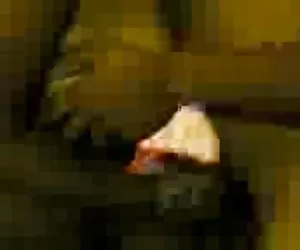 Anita Parigi - il cast