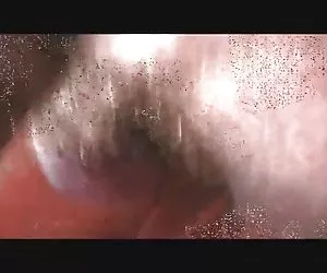 Jonathan simms - animali (2001)