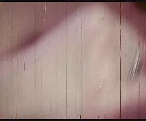 Splendido porno attrice Callie Cox