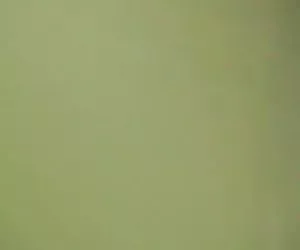 Brunetta a caccia di cazzo