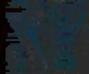 bella bionda ragazza della porta accanto succhia un enorme gallo, prima si fa scopare la figa