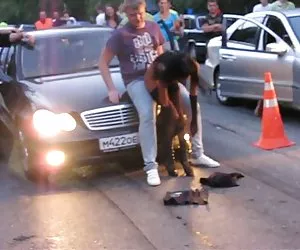 mamma asiatica affamati di gallo