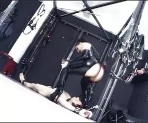 il concorso di pompini celebrità