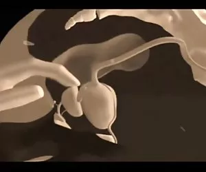 misterfake dolce bionda disperata di tornare in porno