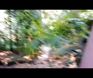 z1xen explorando Brasile #07