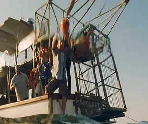 sesso con un enorme gallo