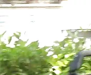 Bella giapponese stella