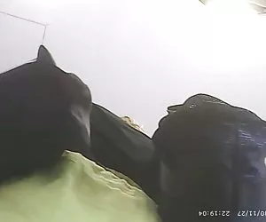 La bellezza in calore ottiene tutti i suoi buchi a tacere