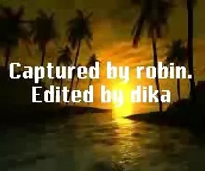 Bbc per Alicia Tyler