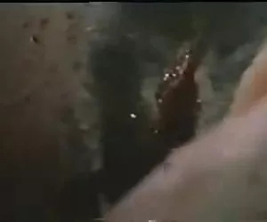 Estremamente enormi melone