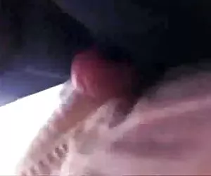 La signora price stand