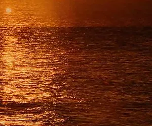 Jenna ottiene il suo culo distrutto