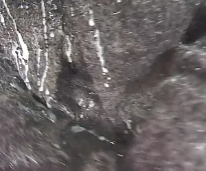 Cheyenne silver rails