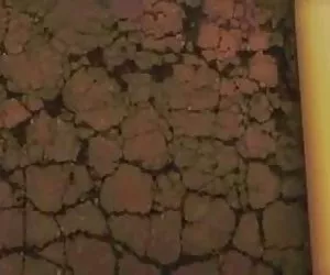 Lungo la lingua è un piccolo membro