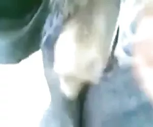 Wiki e il suo ragazzo insegnare adolescenti