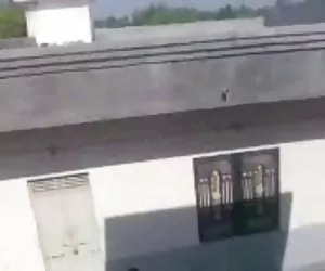 angelica bella - film la diva vogliosa