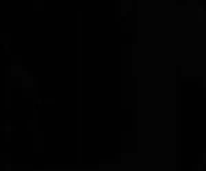 hollander Audrey - una mazza da baseball e un gallo in una sola volta nel culo