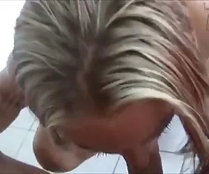 volpe di stella incinta