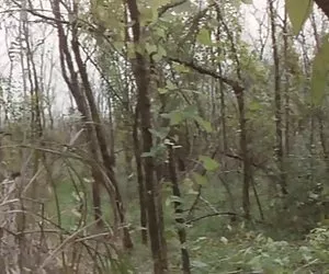 Teenager deepthroating un pompino enorme gallo - gag-