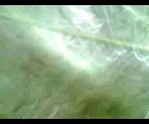 belle gambe in coffee shop