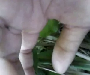 ragazze fuori ovest - sexy pelosi beautie inserisce lungo dildo