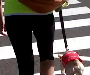 strapon lesbiche sexy belle godono sesso giocattolo orgasmi