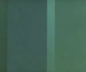 entrata nell'harem...