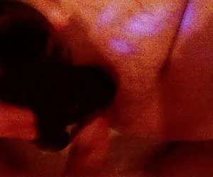 Desiree corsia e la lince, il canone